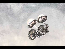 Load and play video in Gallery viewer, White freshwater pearl stud earrings in sterling silver