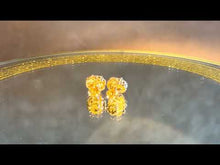 Load and play video in Gallery viewer, Crystal flower earrings in gold filled