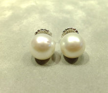 Load image into Gallery viewer, Large 12.5 mm Freshwater White Pearl Stud Earrings