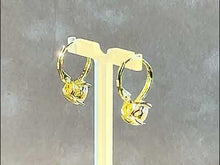 Load and play video in Gallery viewer, Clear crystal lever back gold filled earrings

