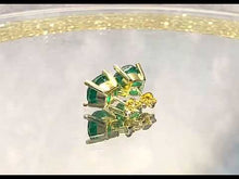Load and play video in Gallery viewer, Video of Green Paraiba Tourmaline earrings
